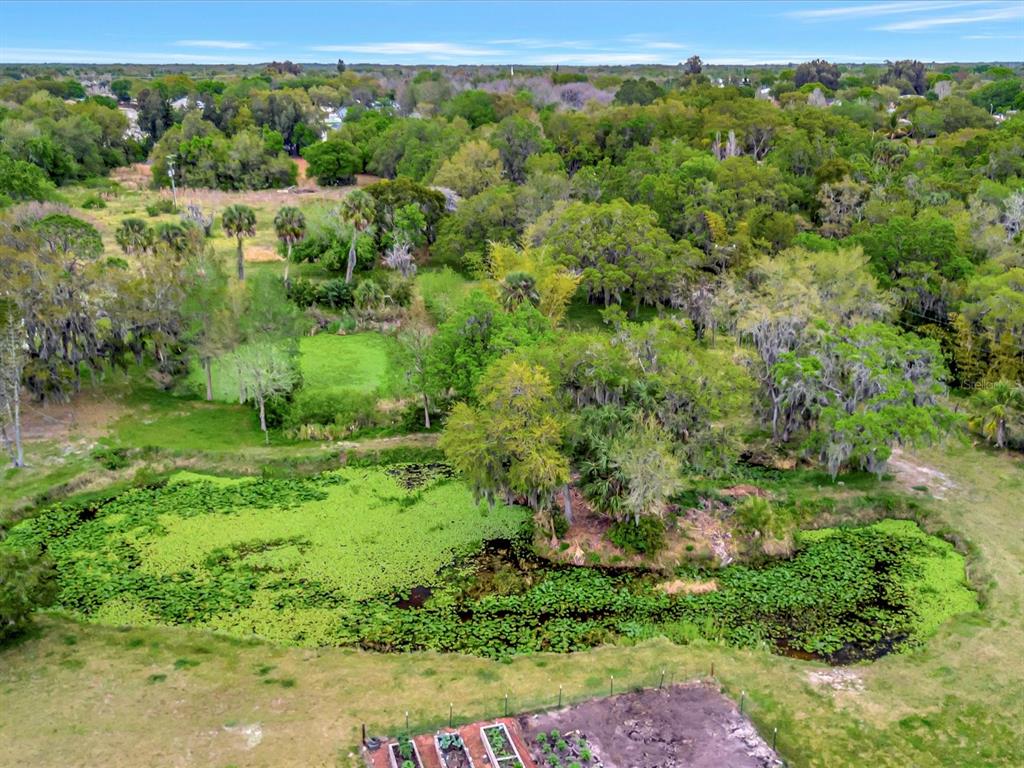 9120 25th Street East Parrish, FL 34219 - Photo 11 of 28 a view of a lush green forest with trees and some houses