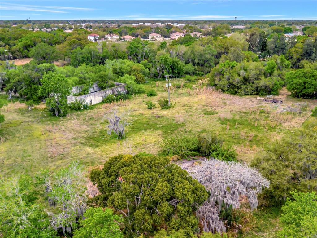 9120 25th Street East Parrish, FL 34219 - Photo 12 of 28 a view of a yard with plants and large trees