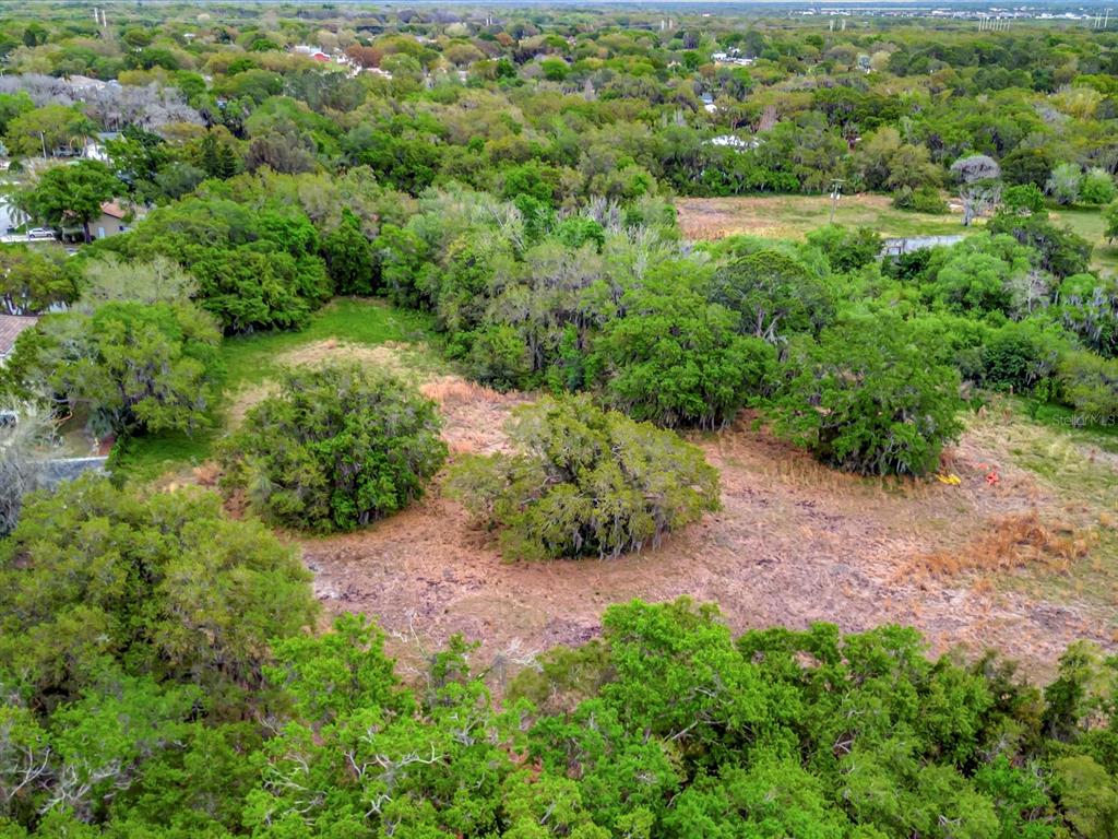 9120 25th Street East Parrish, FL 34219 - Photo 20 of 28 a view of a garden with plants and large trees
