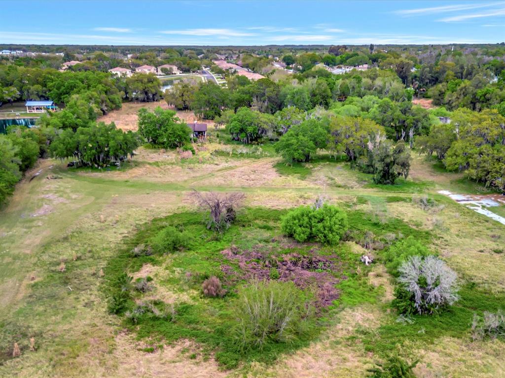 9120 25th Street East Parrish, FL 34219 - Photo 25 of 28 a view of a big yard with large trees