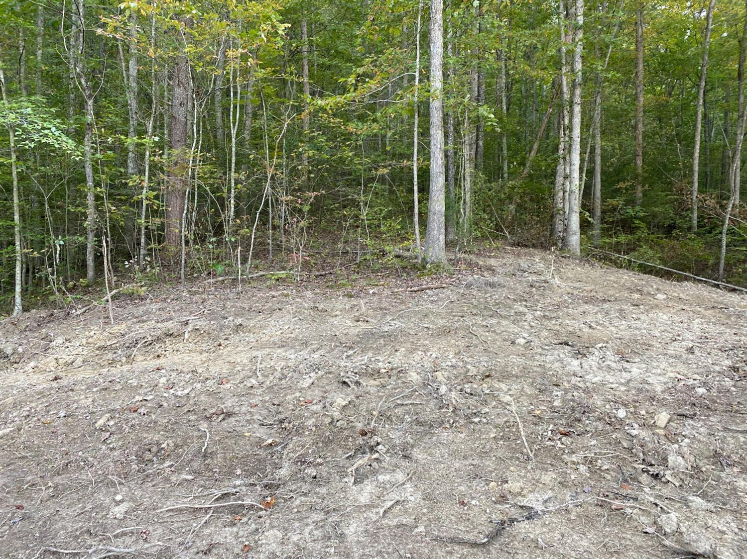 2 Long Branch Road Berea, KY 40403 - Photo 6 of 7 Photo 7