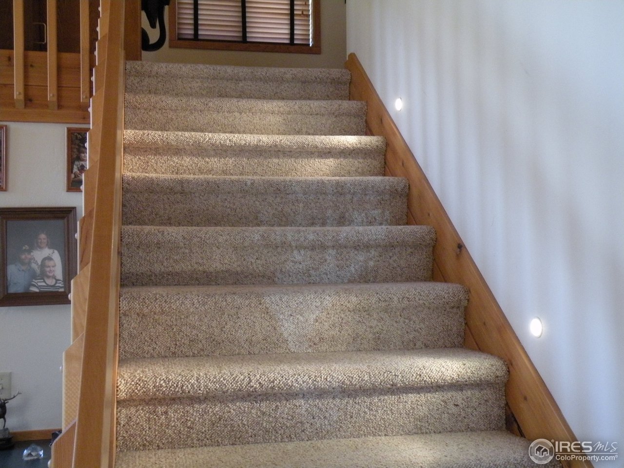 238 Tami Road Red Feather Lakes, CO 80545 - Photo 12 of 17 Gallery Image 12