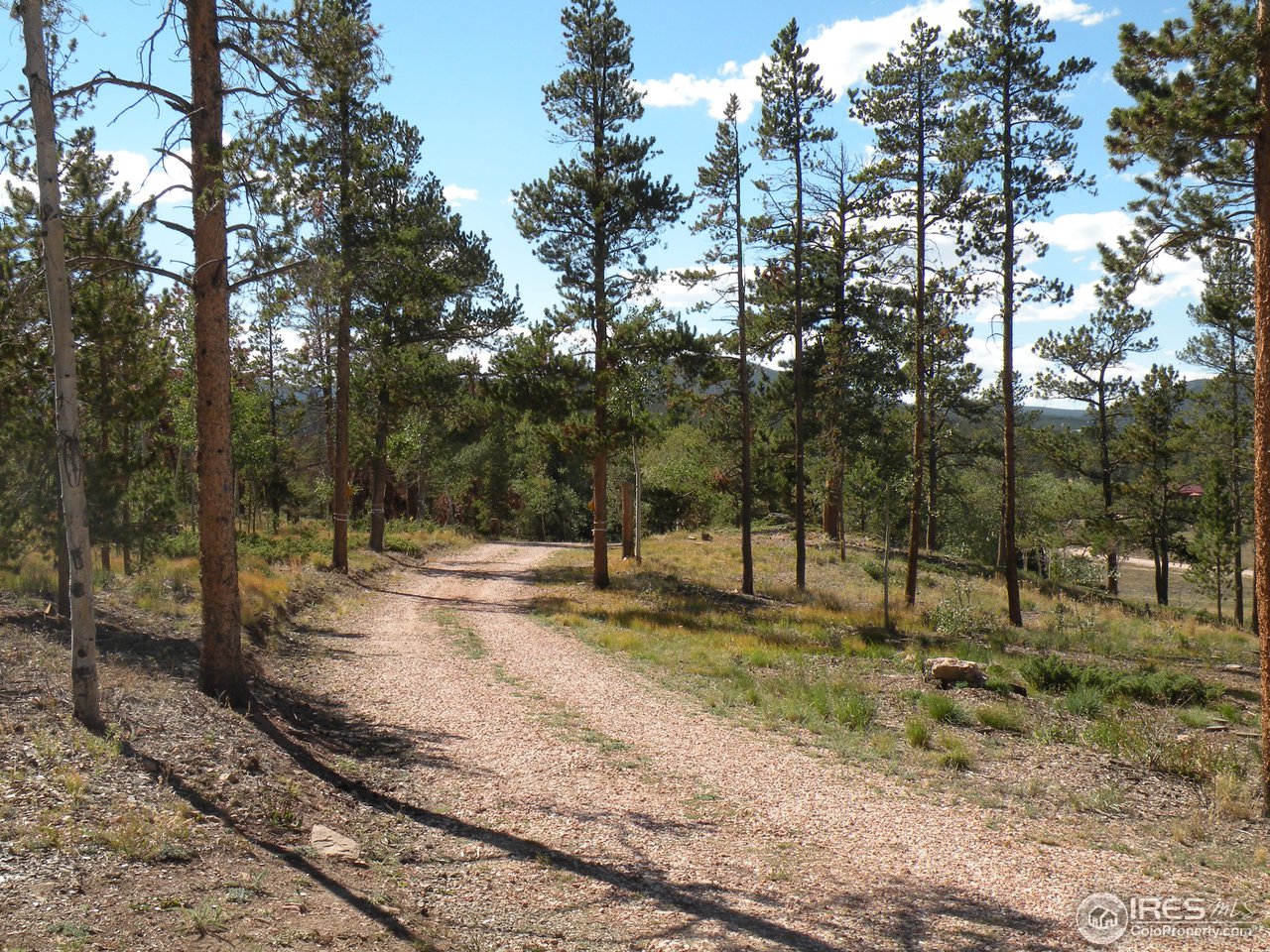 238 Tami Road Red Feather Lakes, CO 80545 - Photo 17 of 17 Gallery Image 17