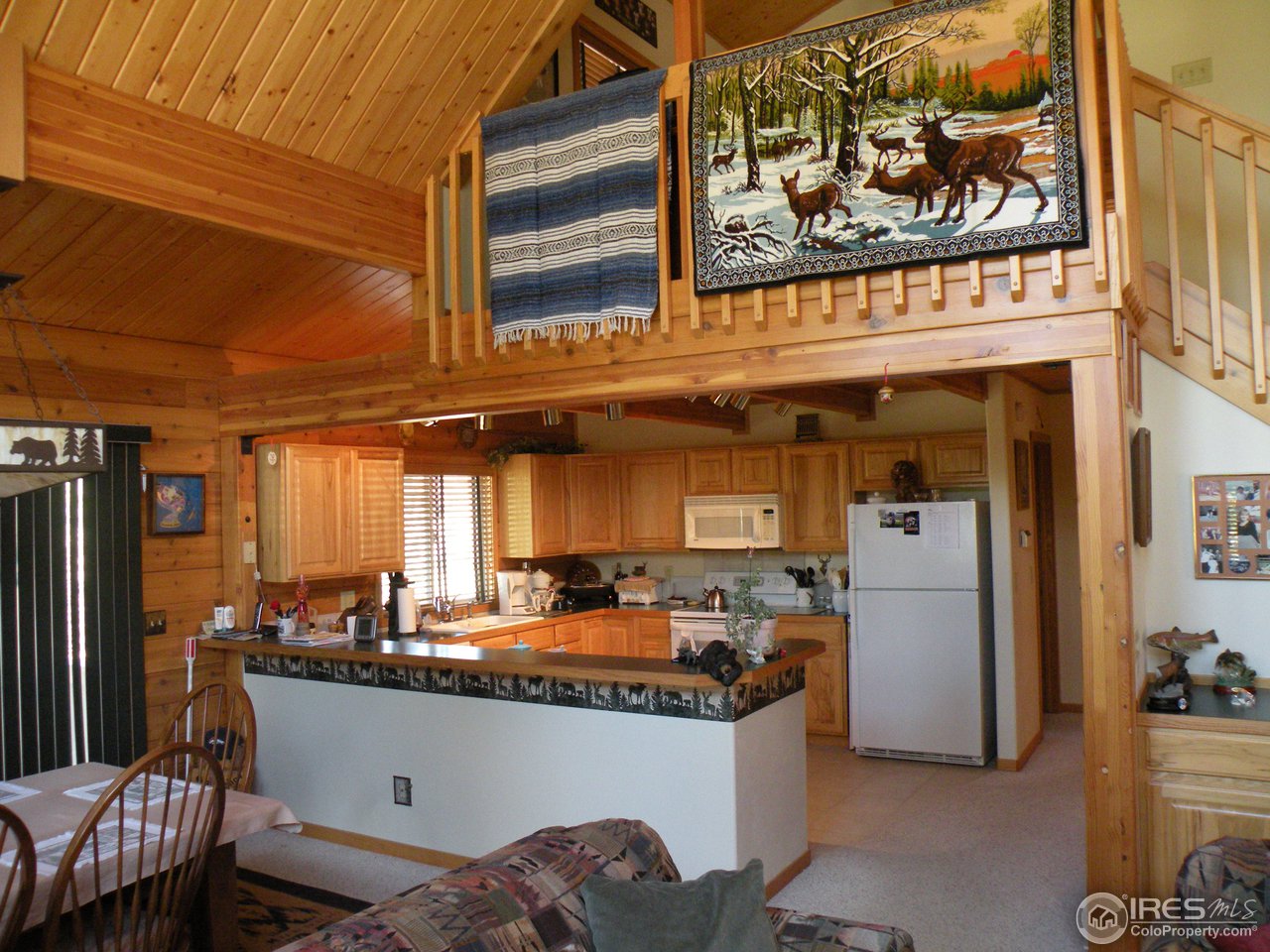 238 Tami Road Red Feather Lakes, CO 80545 - Photo 4 of 17 Gallery Image 4