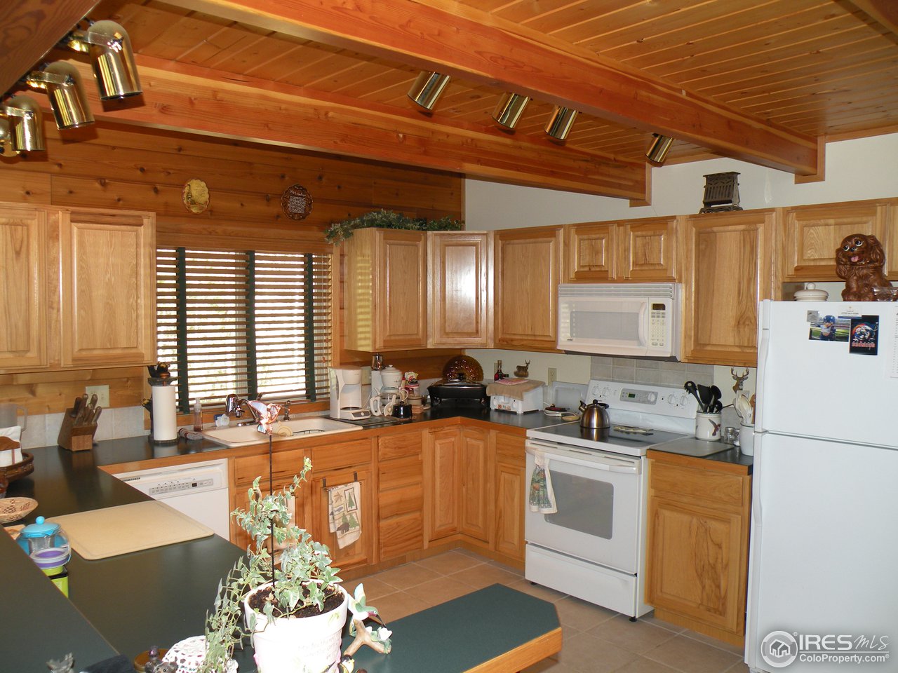 238 Tami Road Red Feather Lakes, CO 80545 - Photo 5 of 17 Gallery Image 5