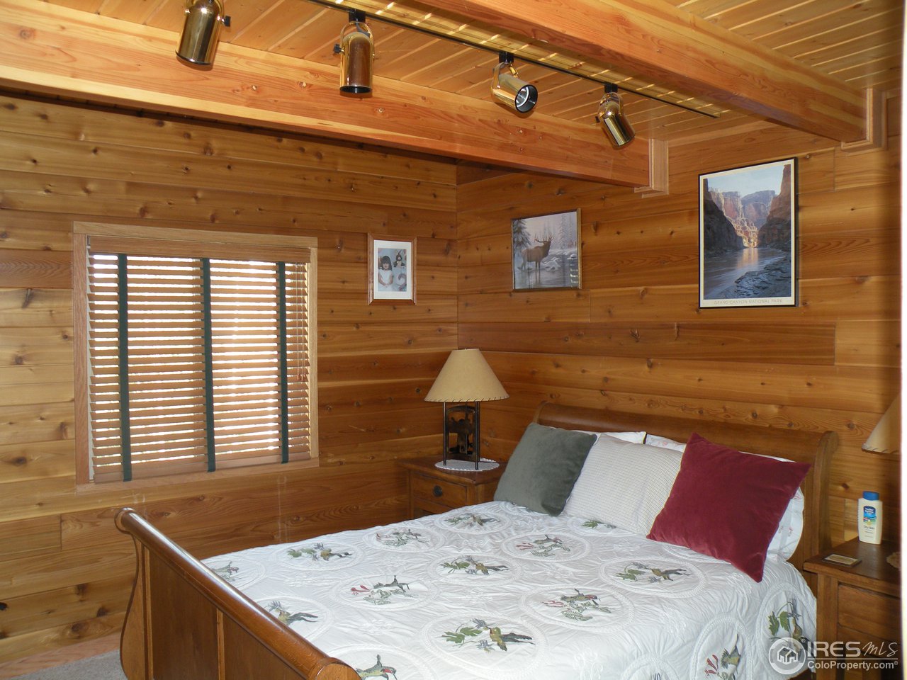 238 Tami Road Red Feather Lakes, CO 80545 - Photo 7 of 17 Gallery Image 7