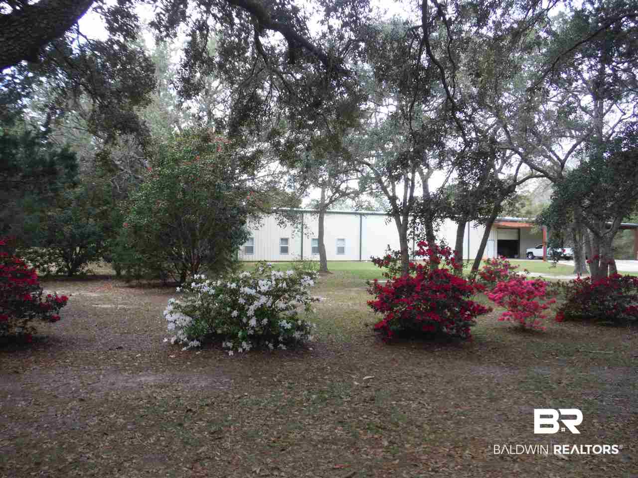 9175 County Road 99 Lillian, AL 36549 - Photo 3 of 50