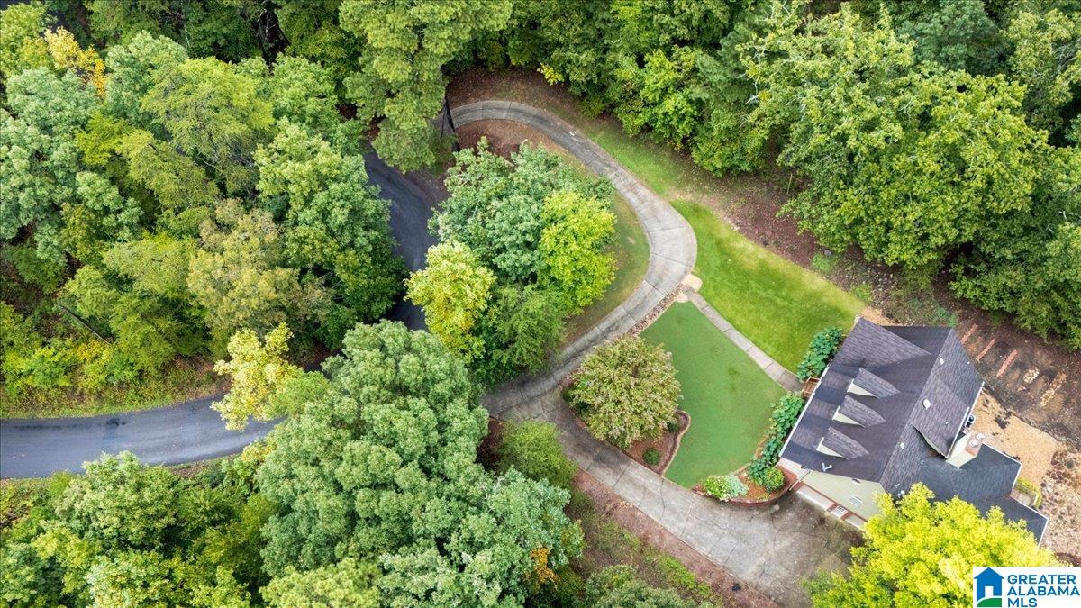 1600 Pine Mountain Road Remlap, AL 35133 - Photo 53 of 56 Gallery Image 53