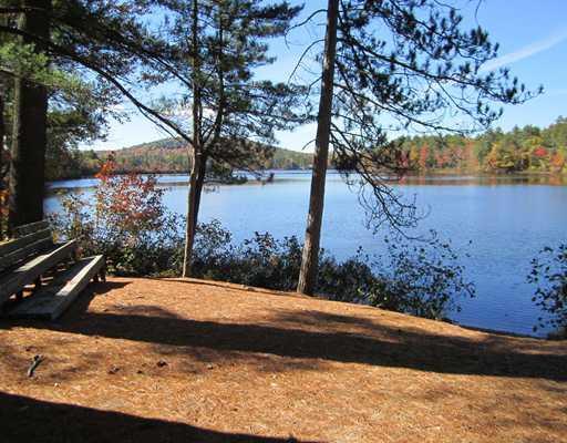 0 Hogfat Hill Road Sebago, ME 04029 - Photo 4 of 10 Land.