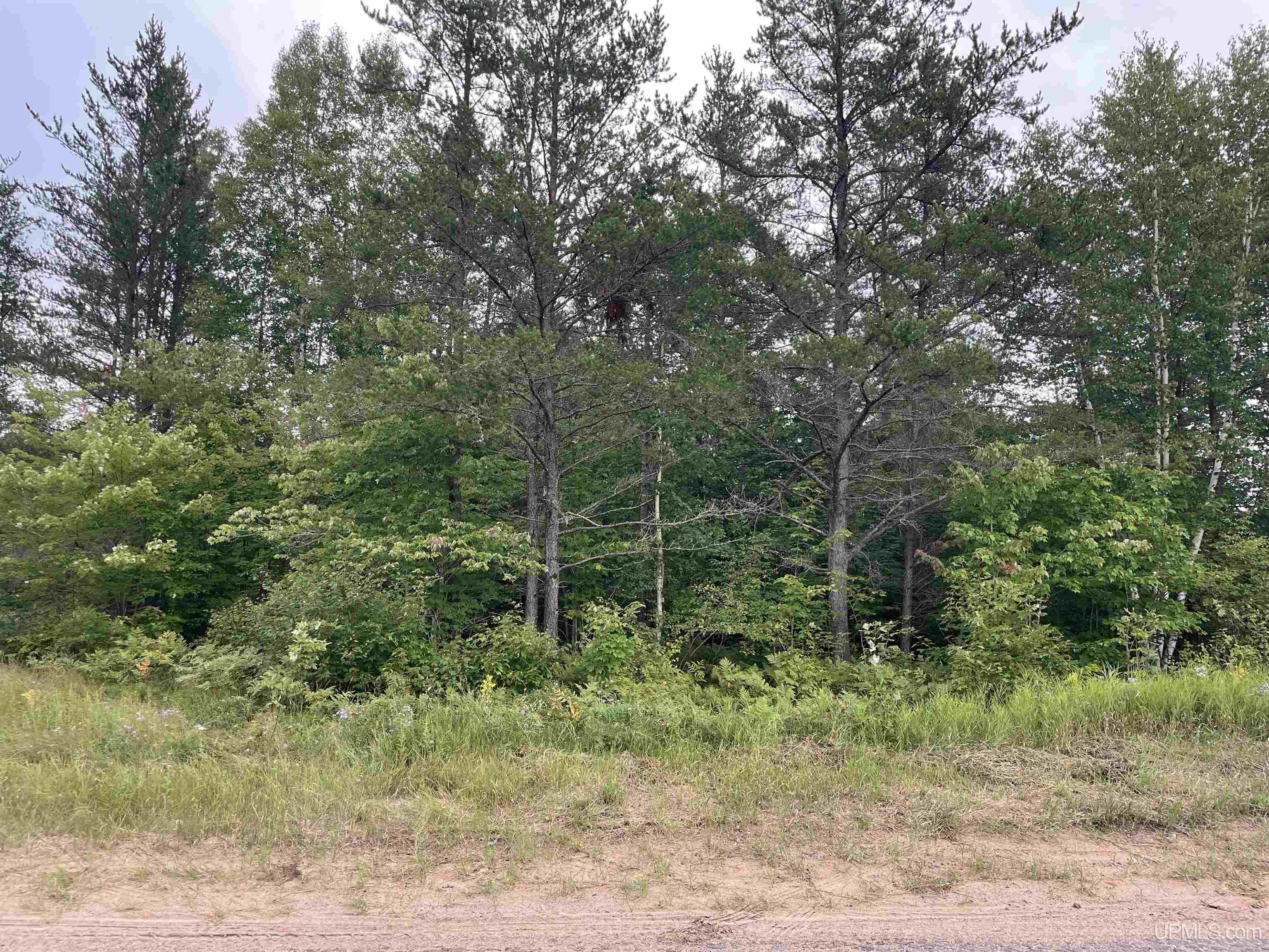 456 North Rd Little Lake Little Lake, MI 49833 - Photo 6 of 29