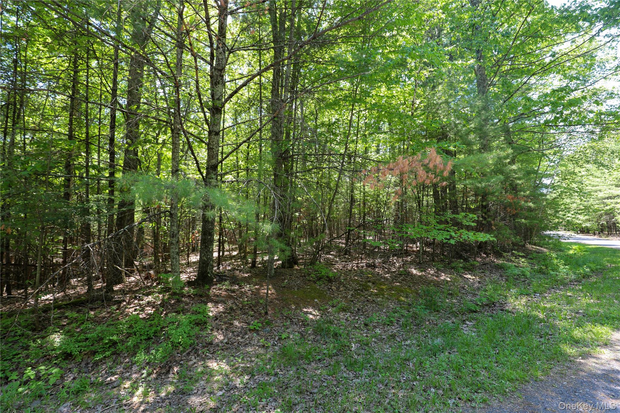Tbd Bristol Hill Road Hurley, NY 12443 - Photo 9 of 17 a view of outdoor space and green space