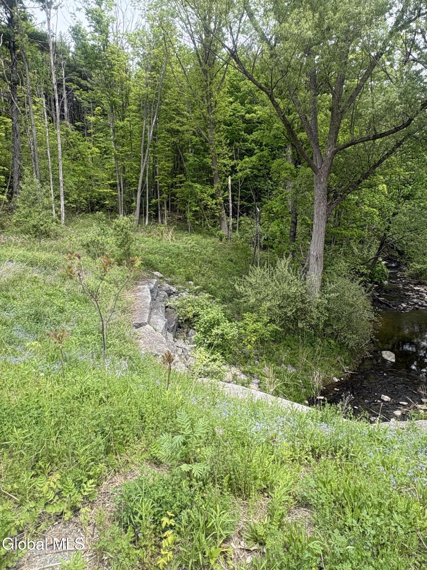 1 Mariaville Road Pattersonville, NY 12137 - Photo 4 of 25 IMG_3938