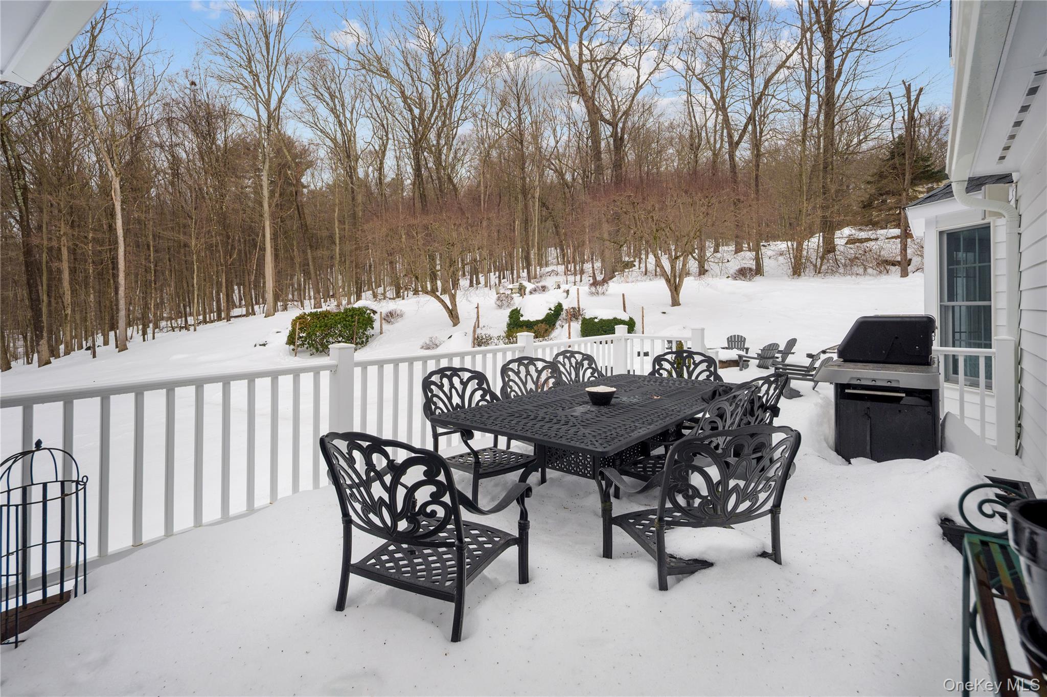 14 Adams Farm Road Katonah, NY 10536 - Photo 9 of 47 Back deck