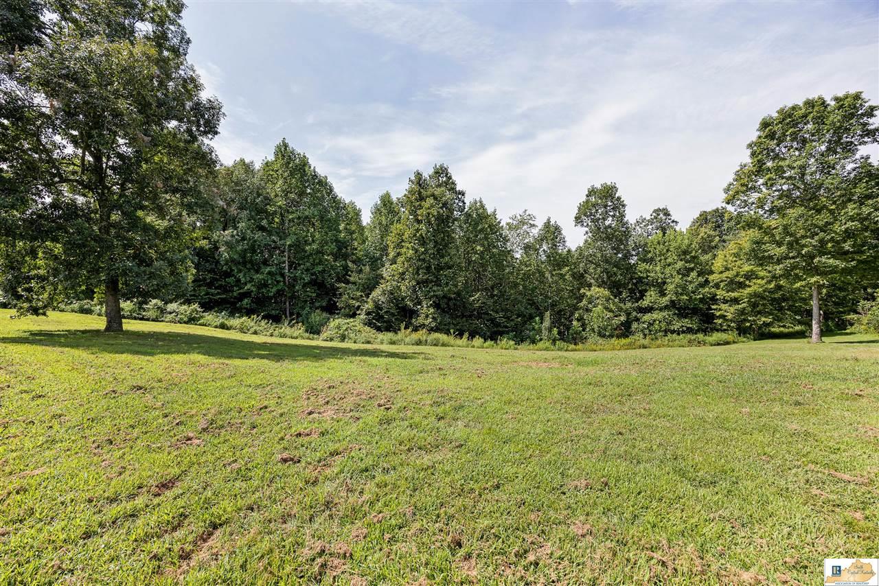 1135 Strong Branch Road Liberty, KY 42539 - Photo 10 of 31 Gallery Image 10