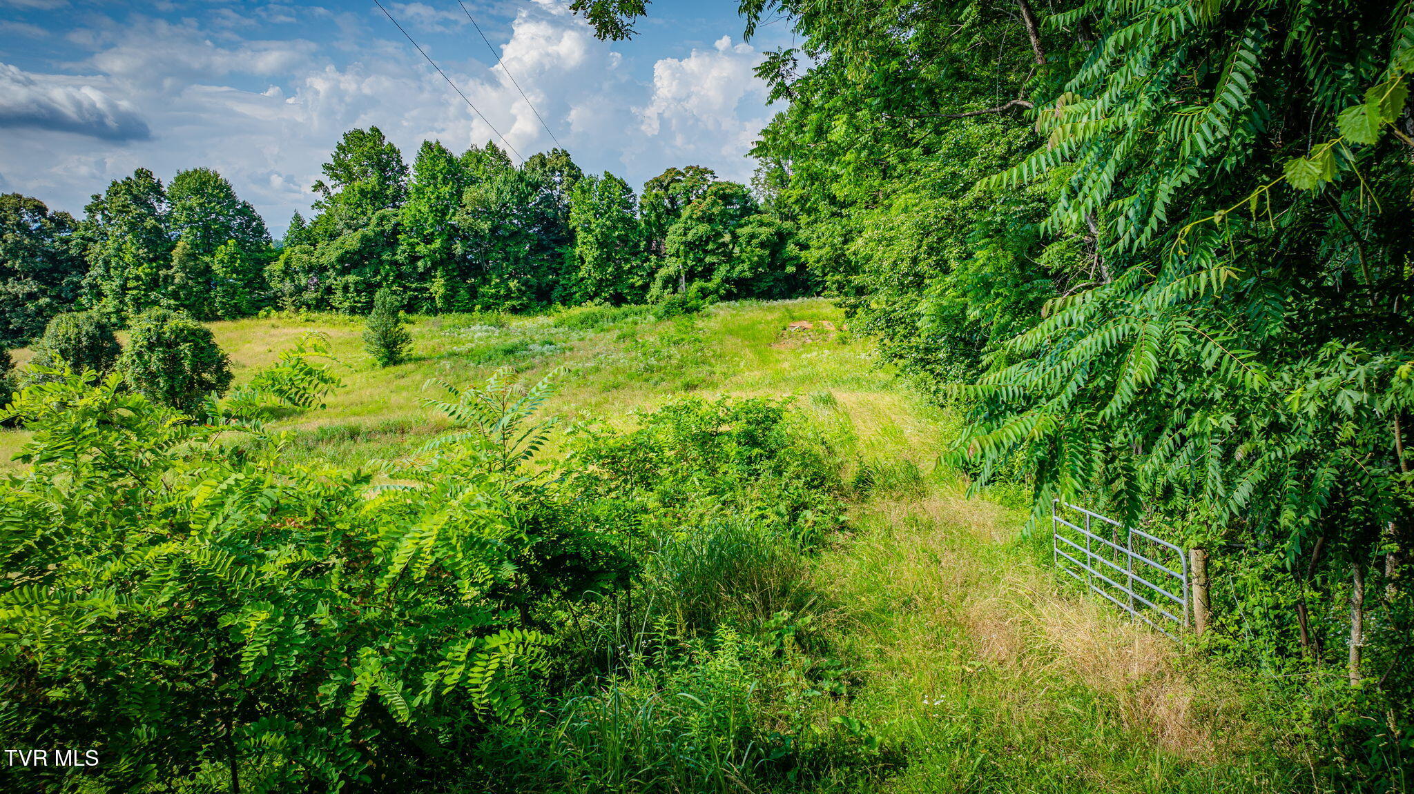 130 Taylor Road Jonesborough, TN 37659 - Photo 19 of 22 114