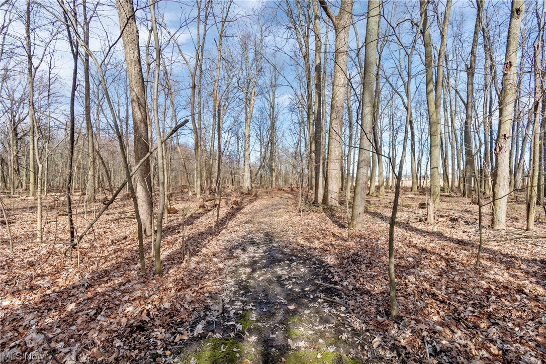 3491 Rohrer Road Wadsworth, OH 44281 - Photo 35 of 38