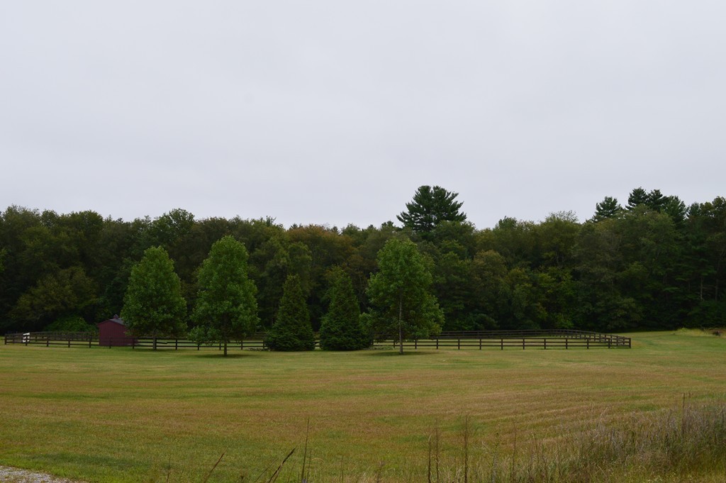 1 Saddle Ridge Way Norfolk, MA 02056 - Photo 7 of 10 Gallery Image 7