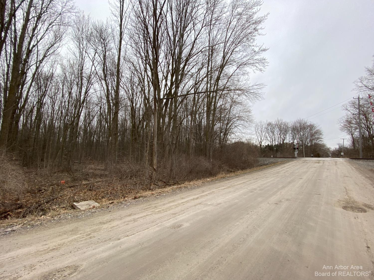 0 Northwest Talladay Road Whittaker, MI 48160 - Photo 2 of 7 Photo 2