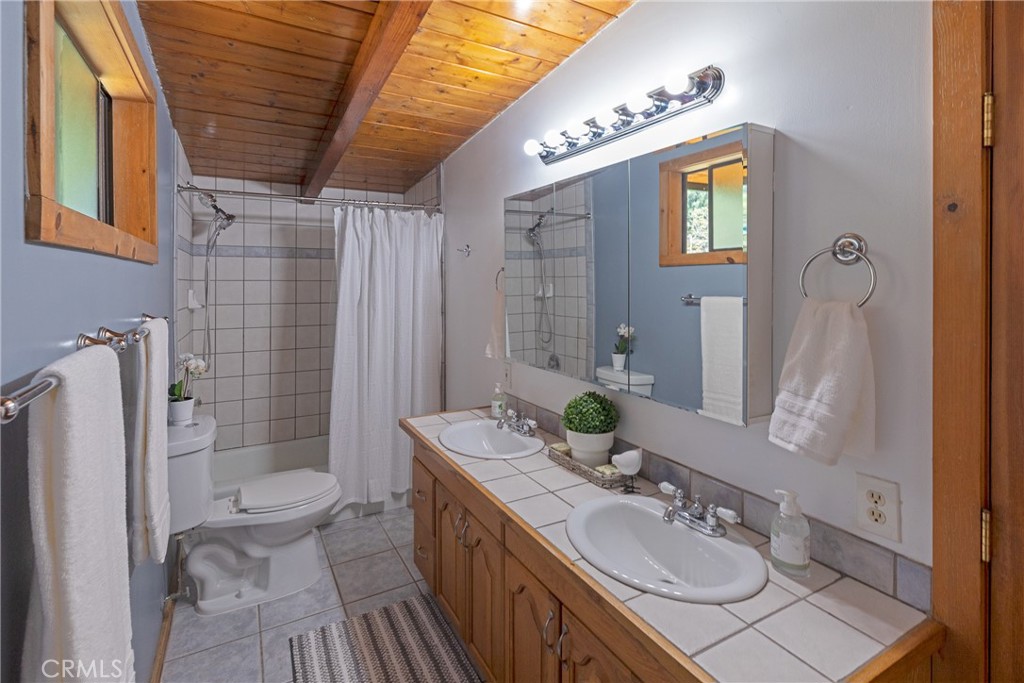 31311 Silverado Canyon Road Silverado, CA 92676 - Photo 9 of 37 a bathroom with a sink a toilet and shower