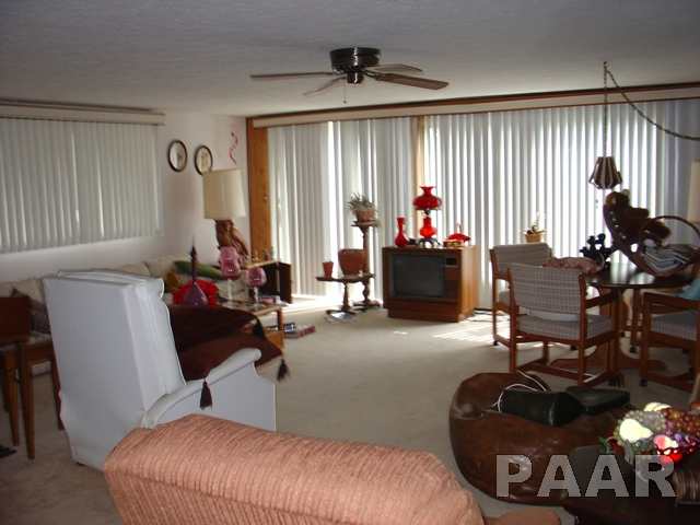 112 South 1st Street Roanoke, IL 61561 - Photo 3 of 9