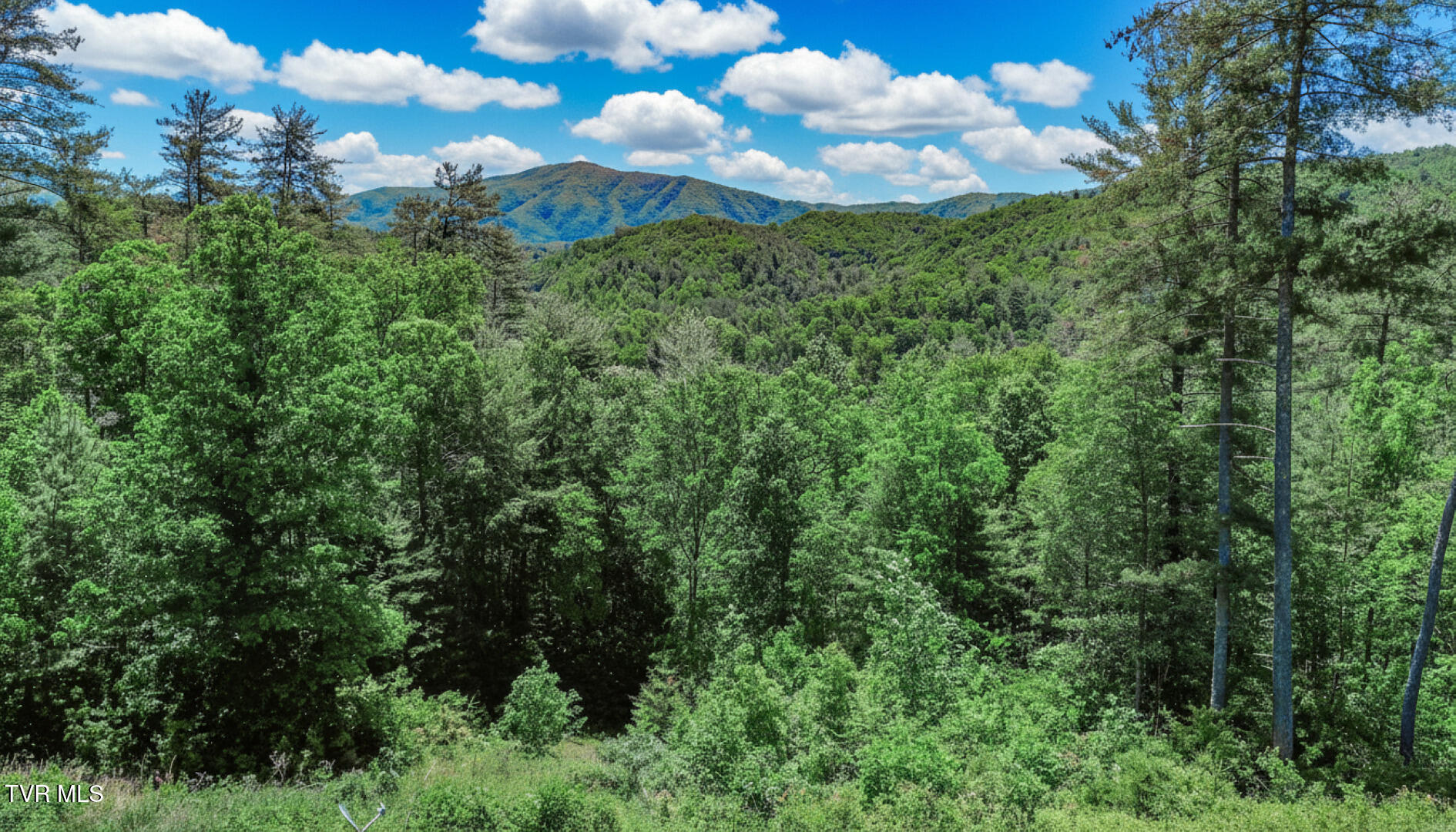 1211 Punkton Road Del Rio, TN 37727 - Photo 48 of 63 43ai