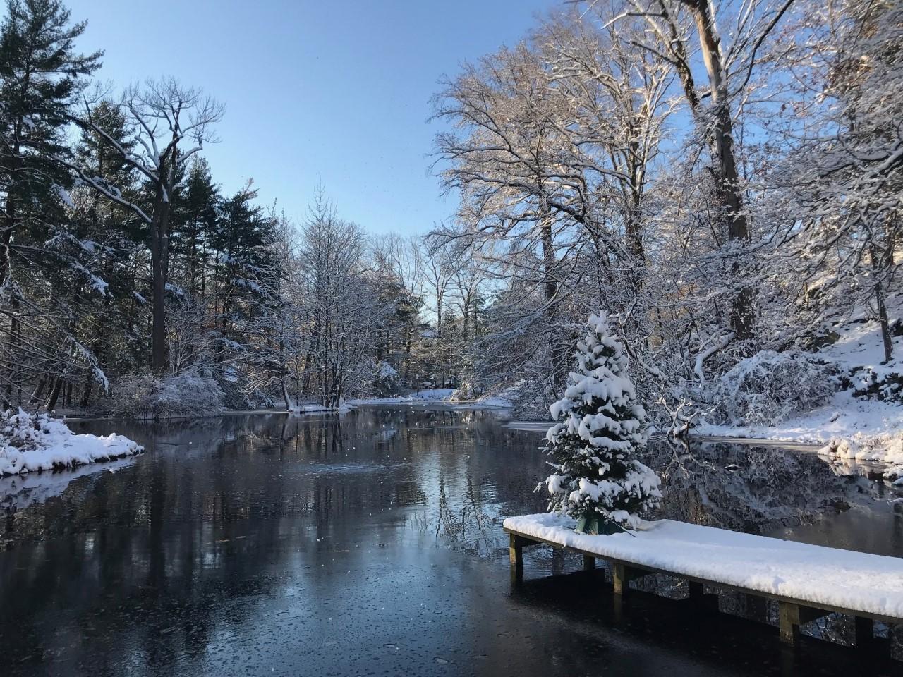 33 Tory Hole Road Darien, CT 06820 - Photo 47 of 51 a view of a lake with outdoor seating