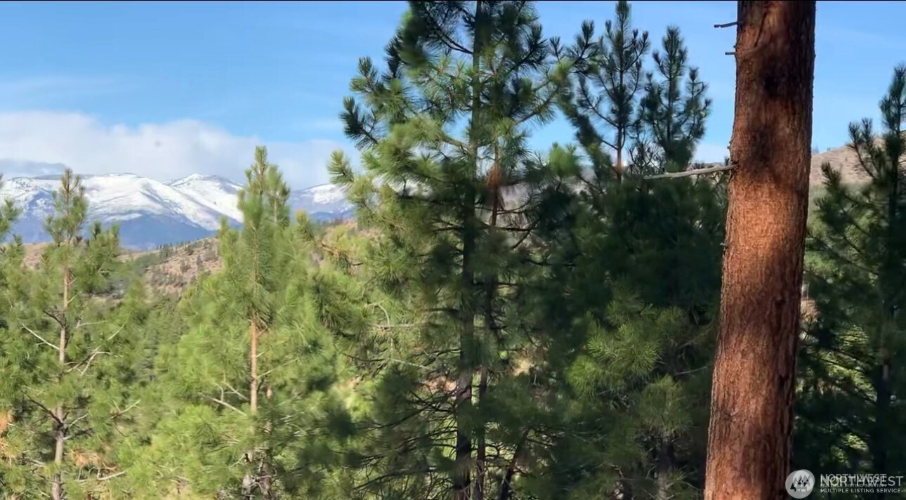 -nna Nna Cooper Mountain Road Chelan, WA 98816 - Photo 11 of 18