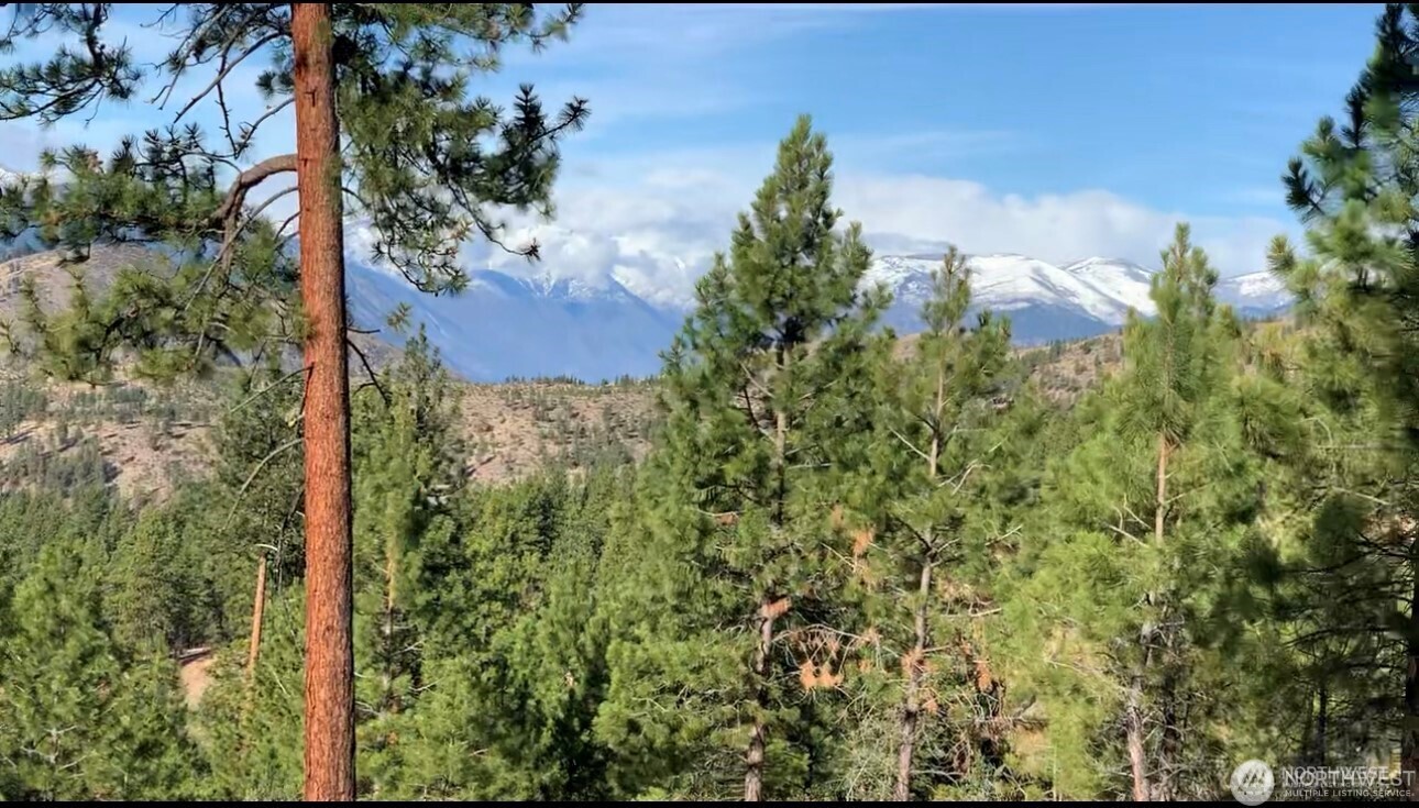 -nna Nna Cooper Mountain Road Chelan, WA 98816 - Photo 14 of 18