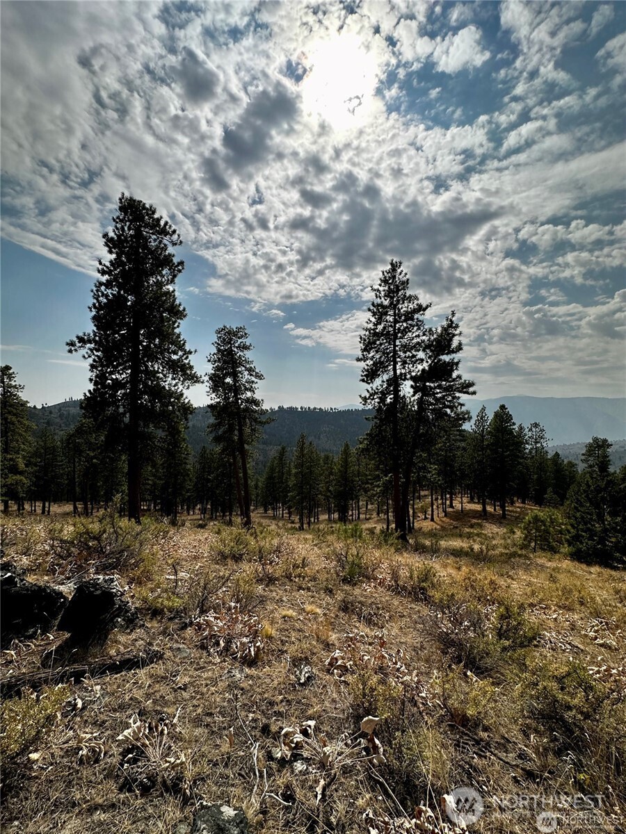 -nna Nna Cooper Mountain Road Chelan, WA 98816 - Photo 16 of 18