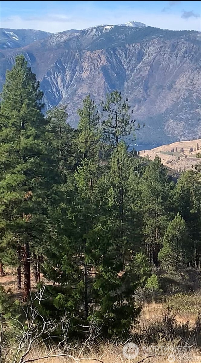 -nna Nna Cooper Mountain Road Chelan, WA 98816 - Photo 17 of 18