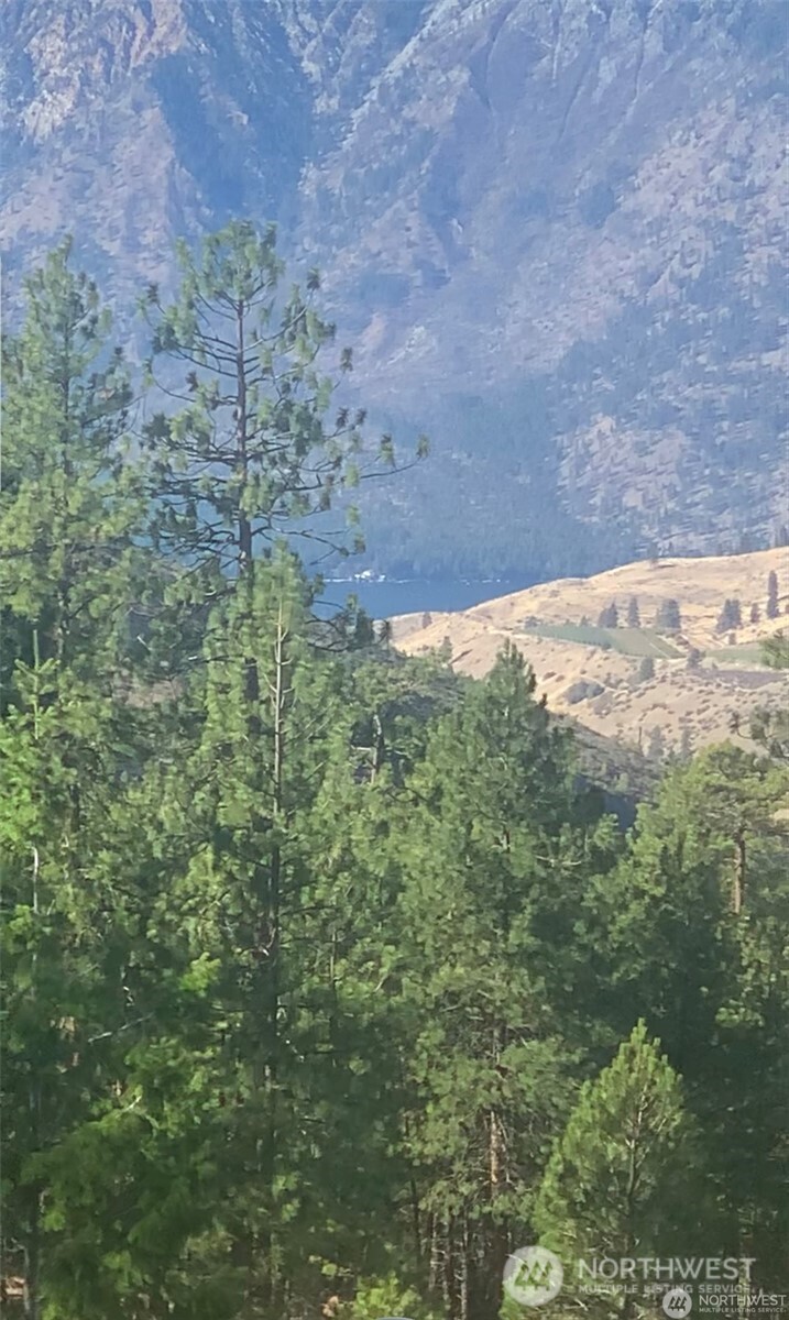 -nna Nna Cooper Mountain Road Chelan, WA 98816 - Photo 18 of 18