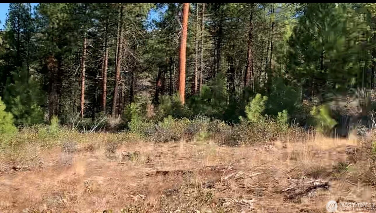 -nna Nna Cooper Mountain Road Chelan, WA 98816 - Photo 4 of 18