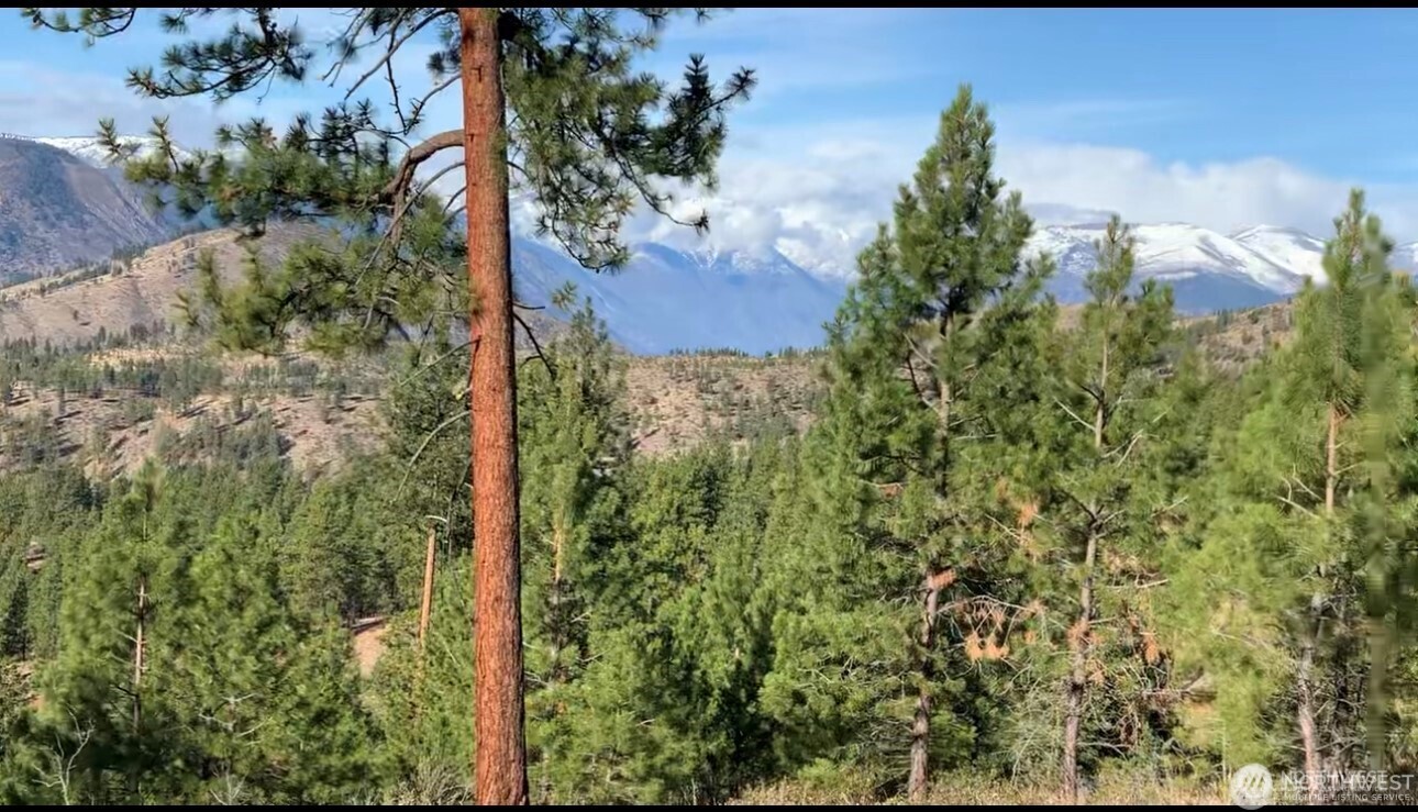 -nna Nna Cooper Mountain Road Chelan, WA 98816 - Photo 6 of 18