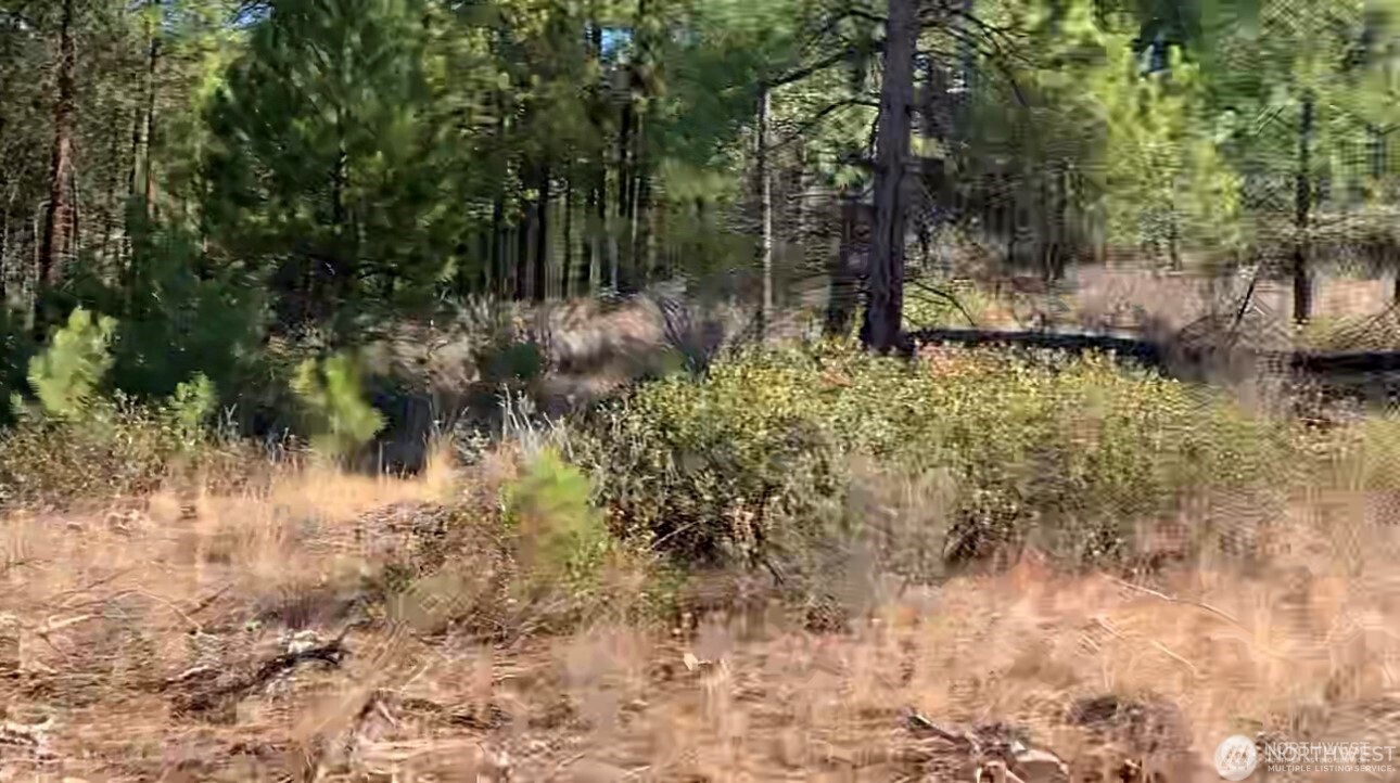 -nna Nna Cooper Mountain Road Chelan, WA 98816 - Photo 8 of 18