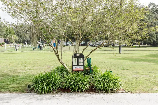 a garden with trees in front of it
