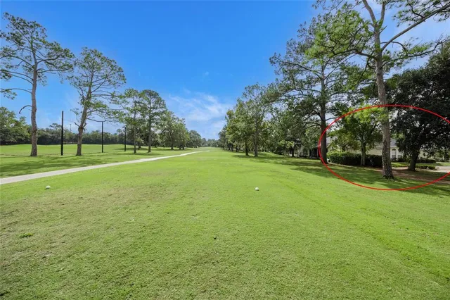 a view of a park with large trees