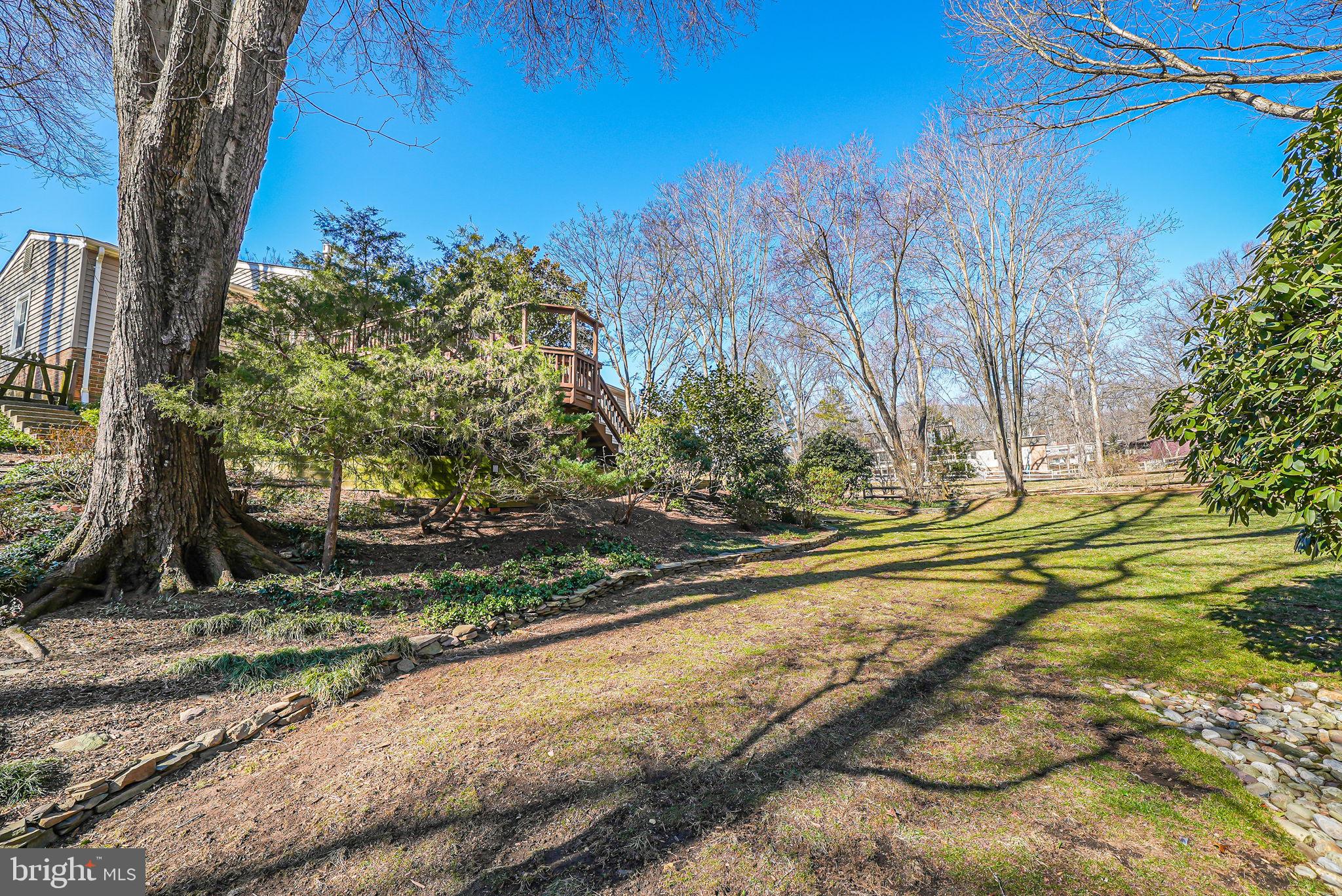 11000 Ring Road Reston, VA 20190 - Photo 46 of 53 a view of a yard with an trees
