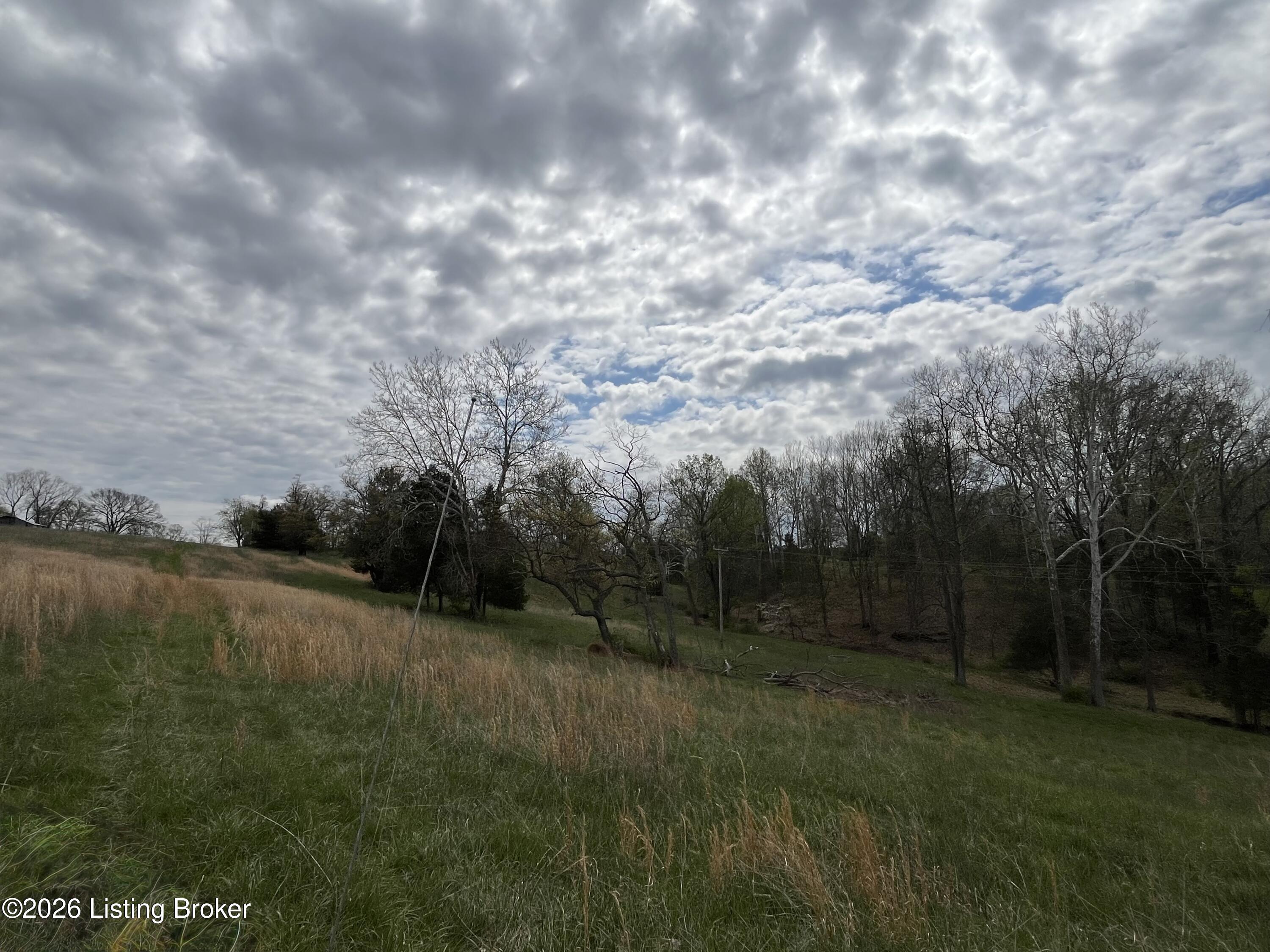 1568 Bray Ridge Road Bedford, KY 40006 - Photo 55 of 75 IMG_7244