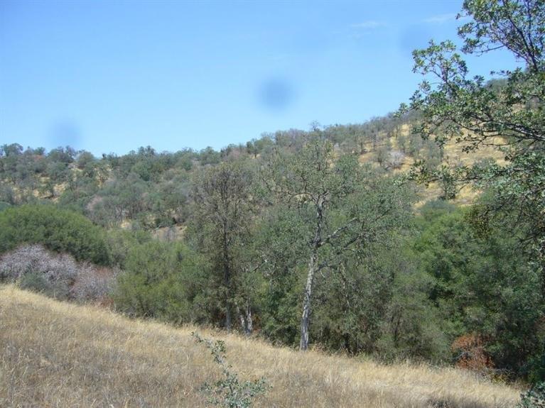 0 Creekside Road Squaw Valley, CA 93675 - Photo 1 of 12 Gallery Image 1