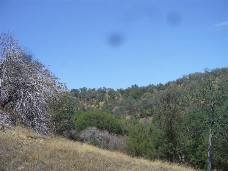 0 Creekside Road Squaw Valley, CA 93675 - Photo 2 of 12 Gallery Image 2