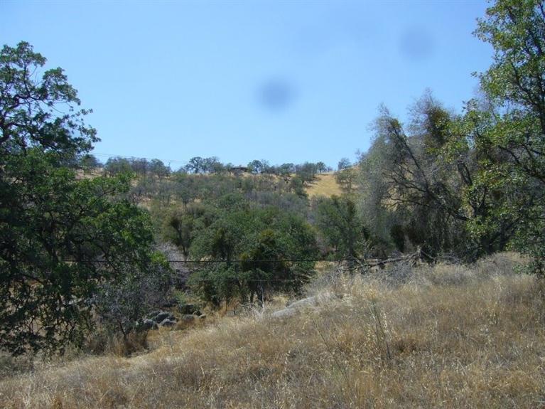 0 Creekside Road Squaw Valley, CA 93675 - Photo 3 of 12 Gallery Image 3