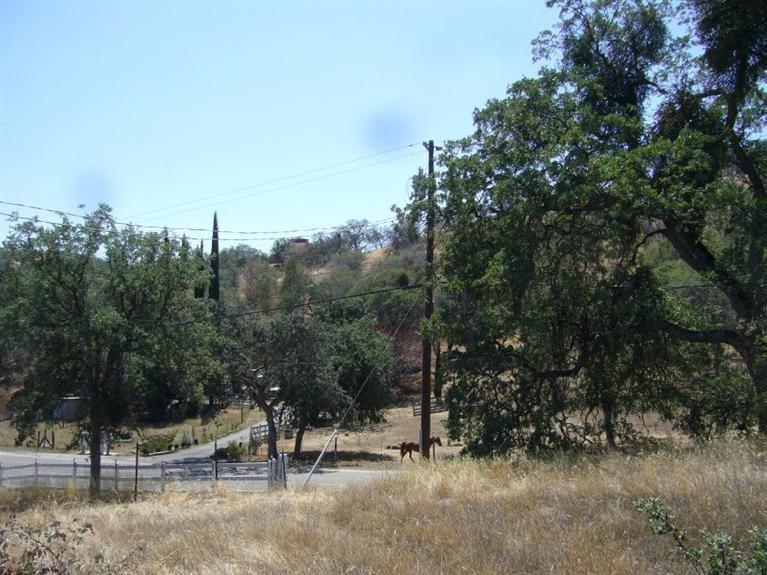 0 Creekside Road Squaw Valley, CA 93675 - Photo 4 of 12 Gallery Image 4