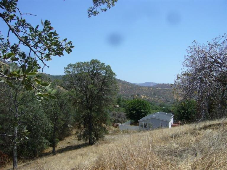 0 Creekside Road Squaw Valley, CA 93675 - Photo 7 of 12 Gallery Image 7