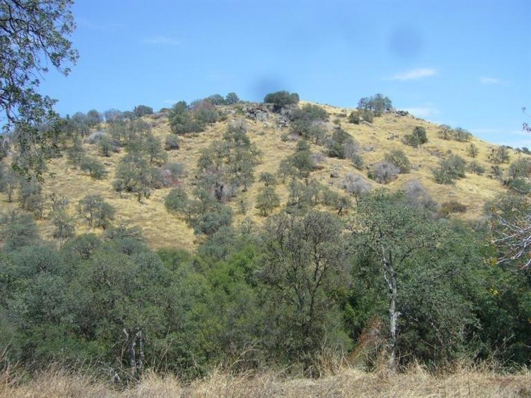 0 Creekside Road Squaw Valley, CA 93675 - Photo 8 of 12 Gallery Image 8