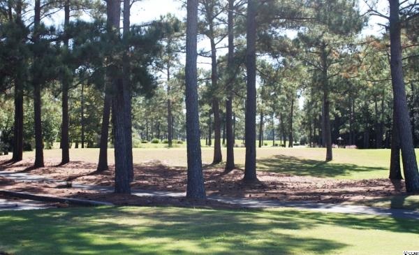 357 Ridge Point Drive Conway, SC 29526 - Photo 14 of 20 Gallery Image 14