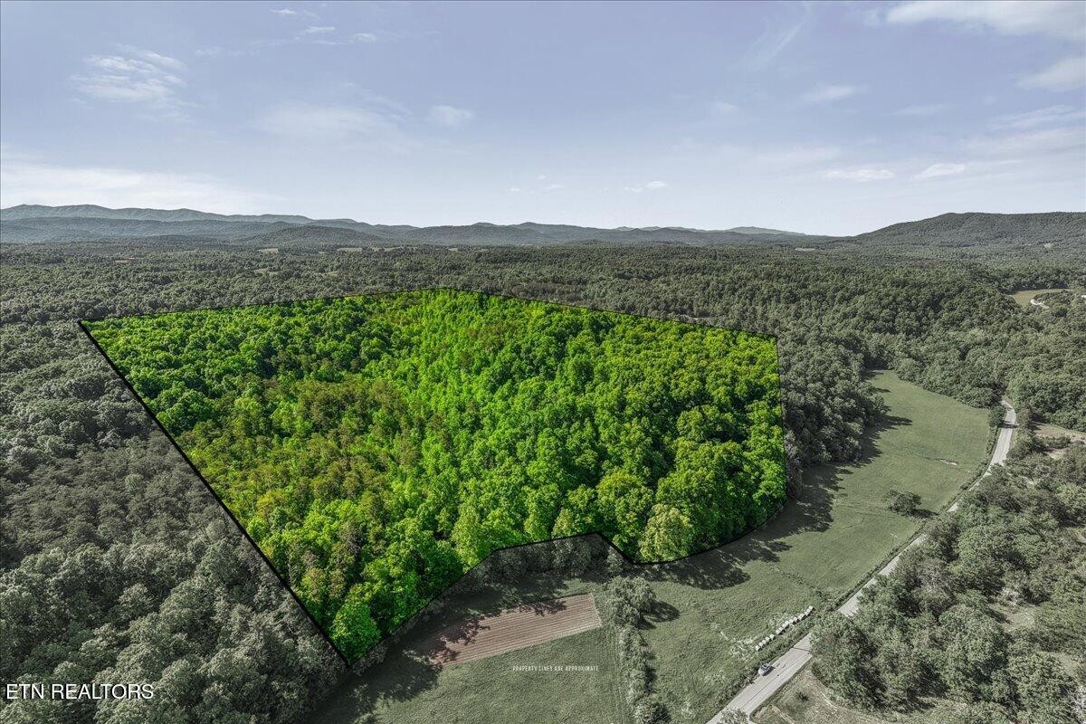 0 Shaddon Road Tellico Plains, TN 37385 - Photo 1 of 17 a view of a green field