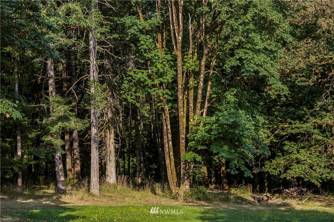 243 River Heights Road Centralia, WA 98531 - Photo 17 of 25 Gallery Image 17