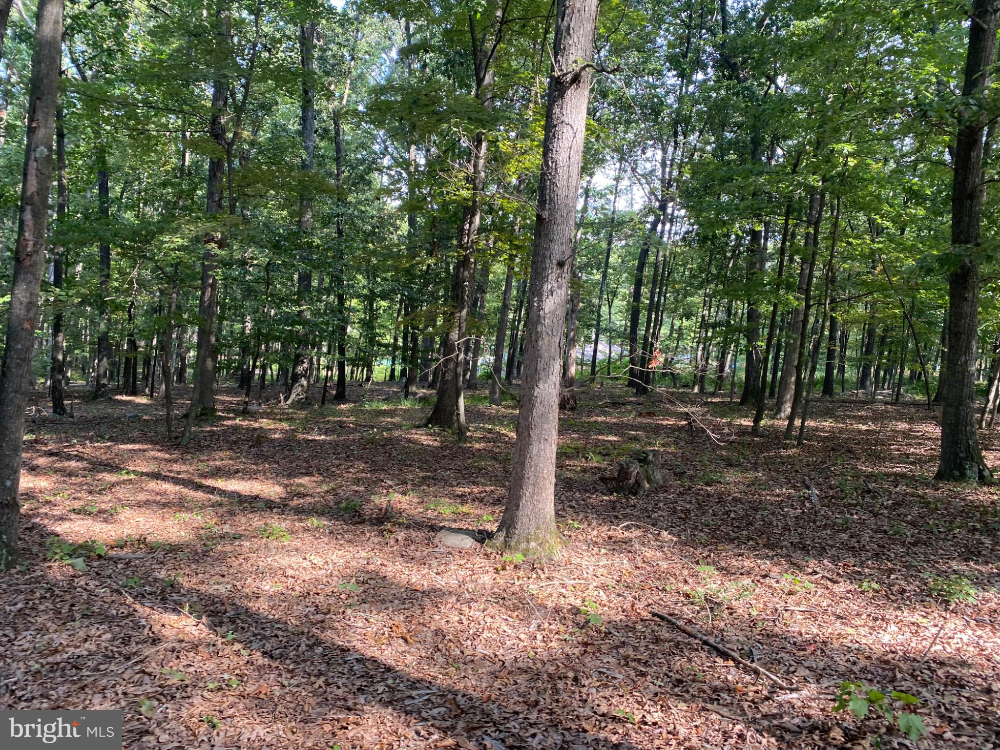 6376 Spring Gap Road Slanesville, WV 25444 - Photo 13 of 13 Gallery Image 13