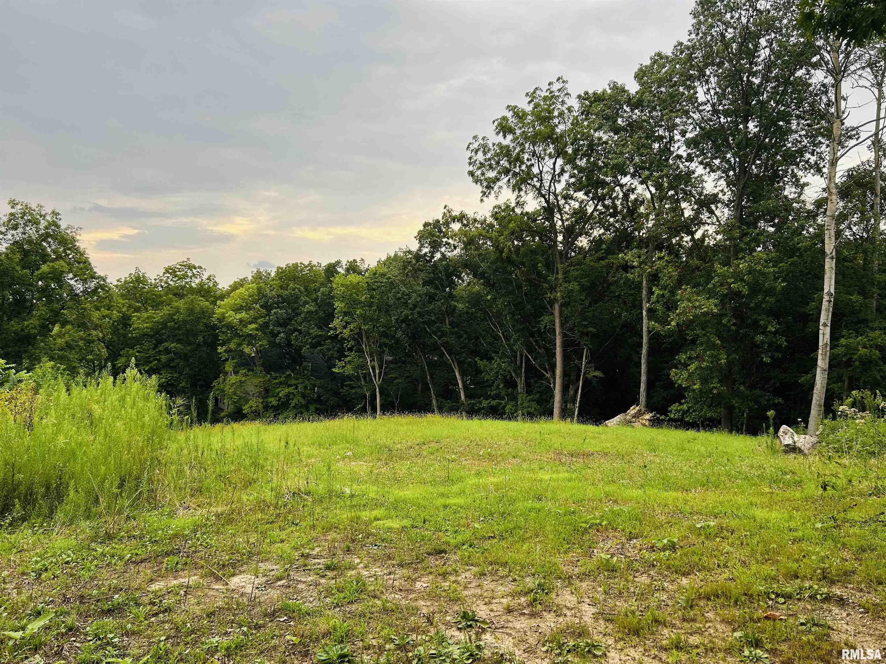 36 Roxbury Road Mackinaw, IL 61755 - Photo 4 of 7