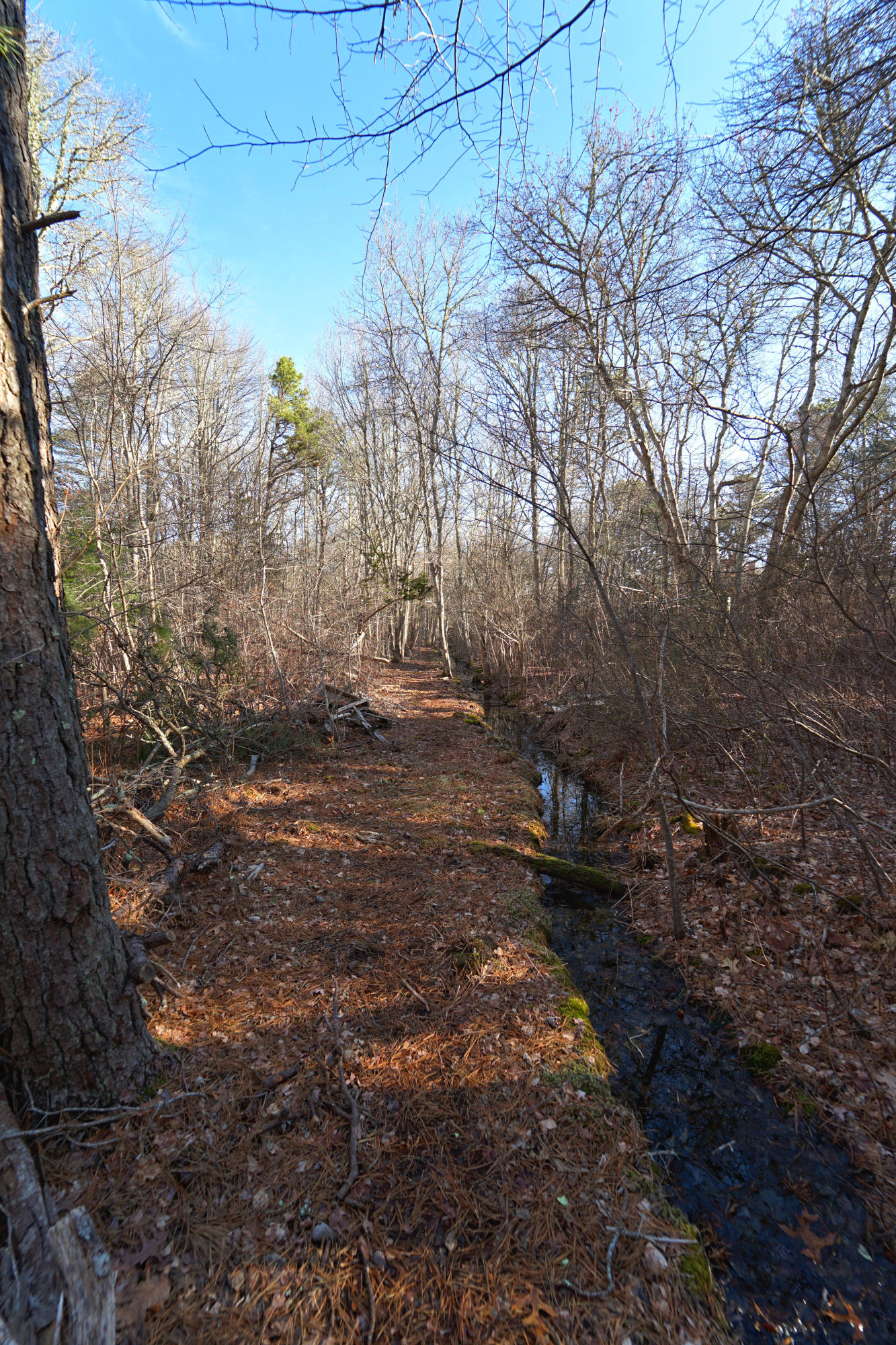 36 Foster Road East Sandwich, MA 02537 - Photo 30 of 31 DSC00703_Detail